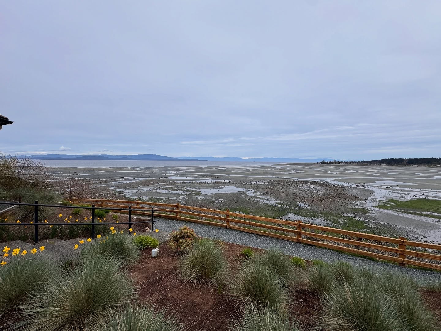 View at lunch….never gets old!